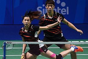 Chan Peng Soon/Goh Liu Ying