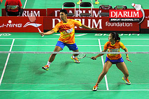 Ardi/Devi